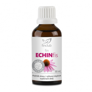 fin Echinfis