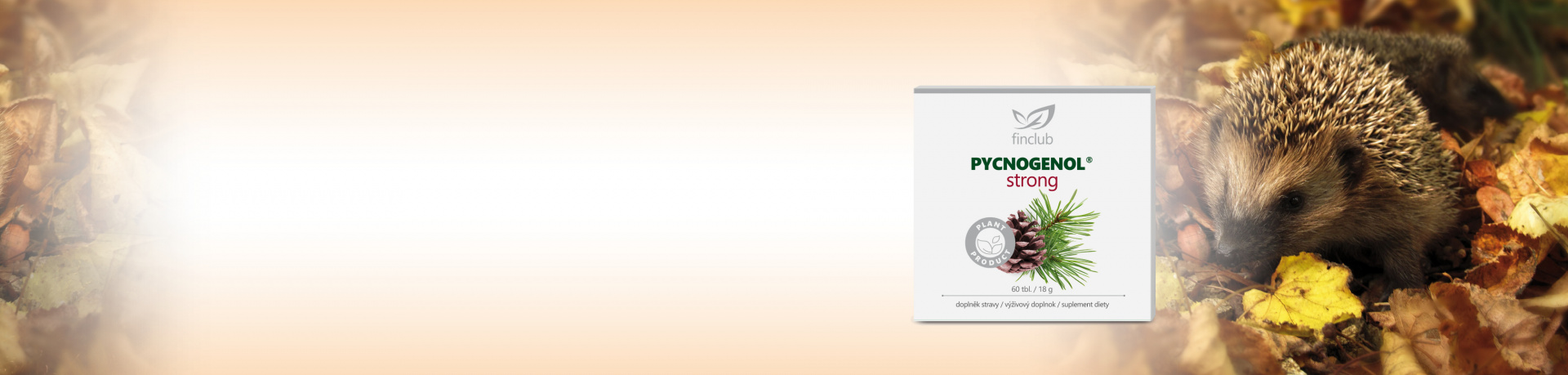 <b>Ein Nährstoff – so viel Gutes</b>