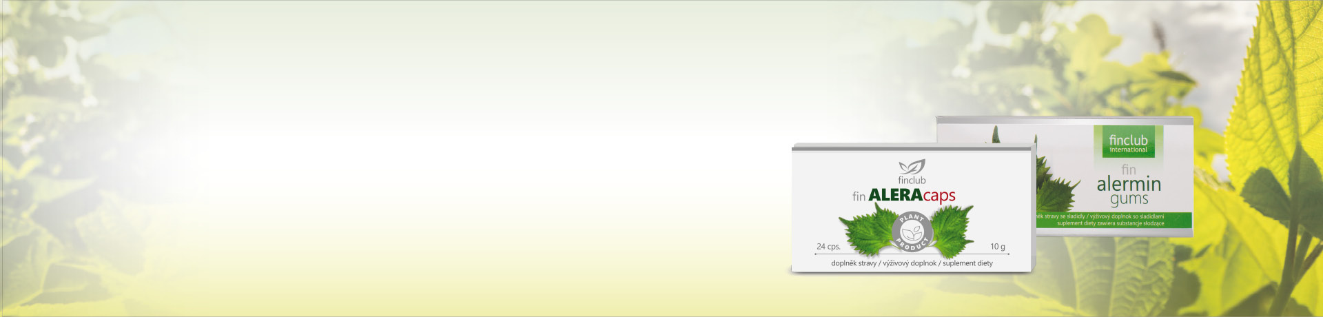 <b>Frühling in voller Blüte</b>