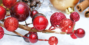 Frohe Weihnachten und ein gutes neues Jahr 2024