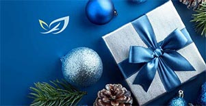 Frohe Weihnachten und ein gutes neues Jahr 2026